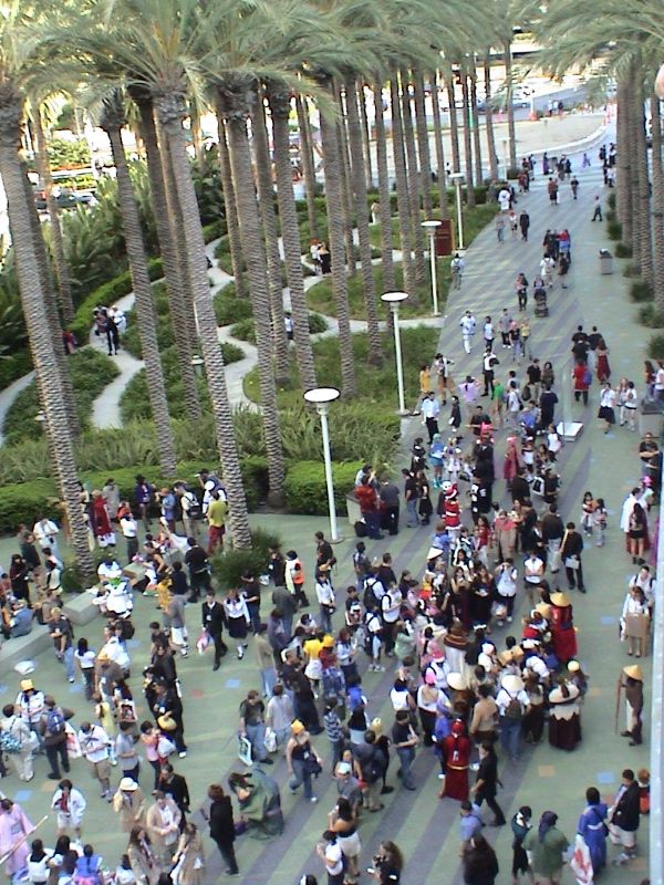 Anime Culture