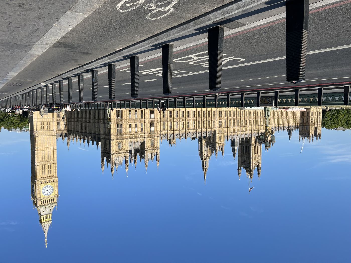 Parliamentary Systems