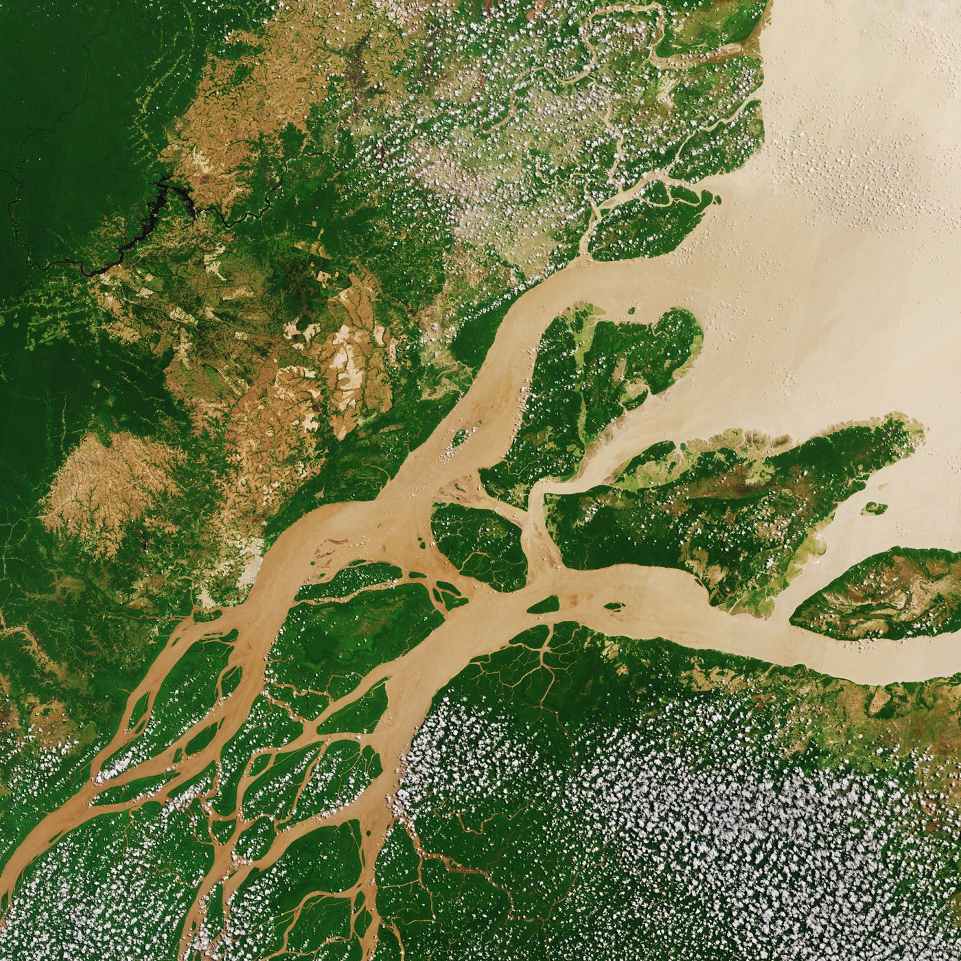 The Amazon River