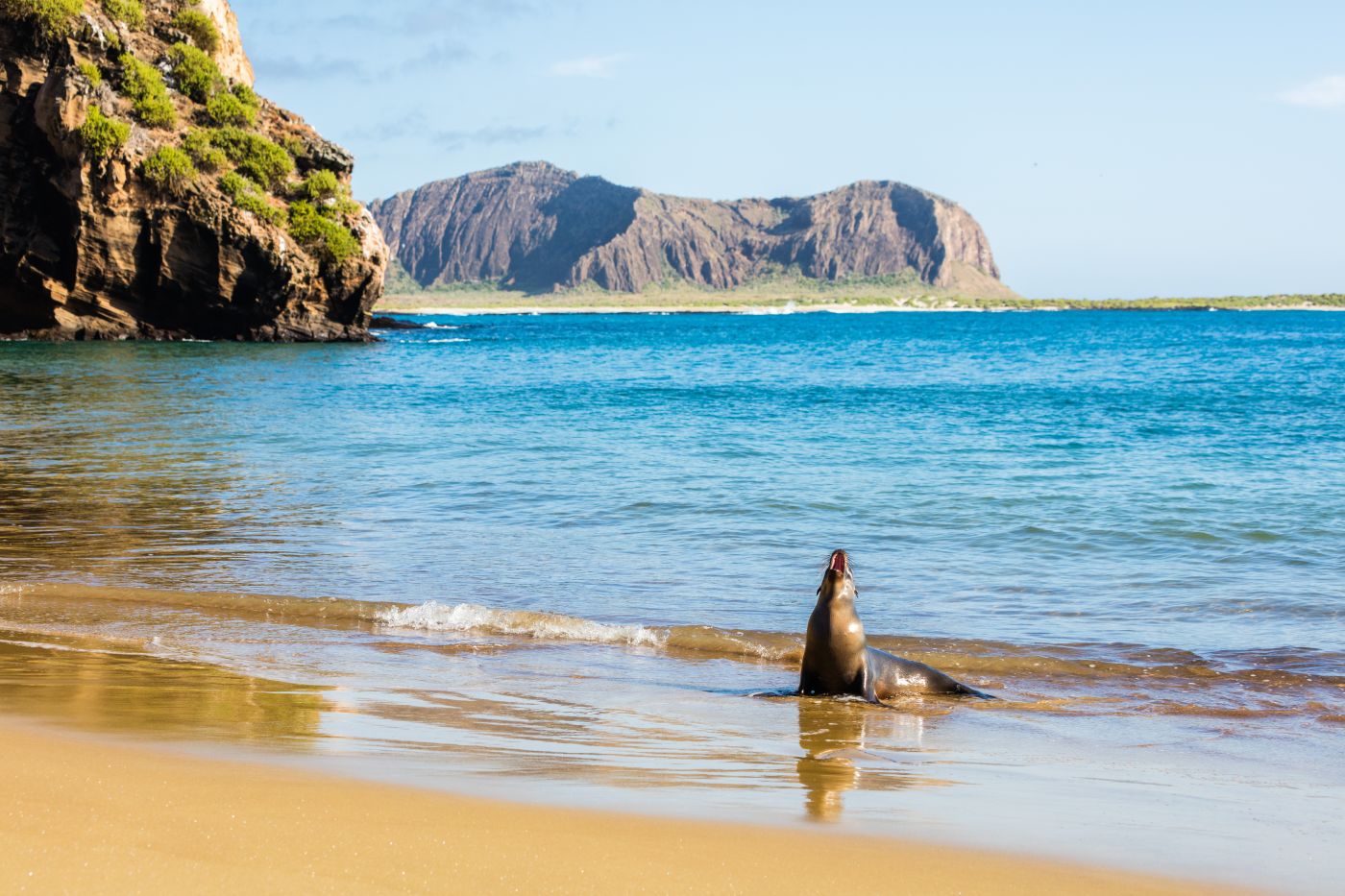 The Galápagos Islands
