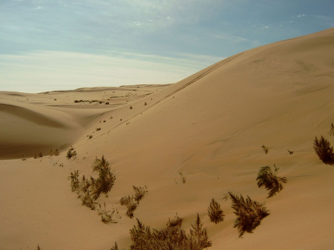 The Gobi Desert