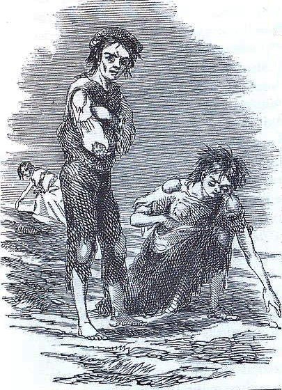 The Irish Potato Famine