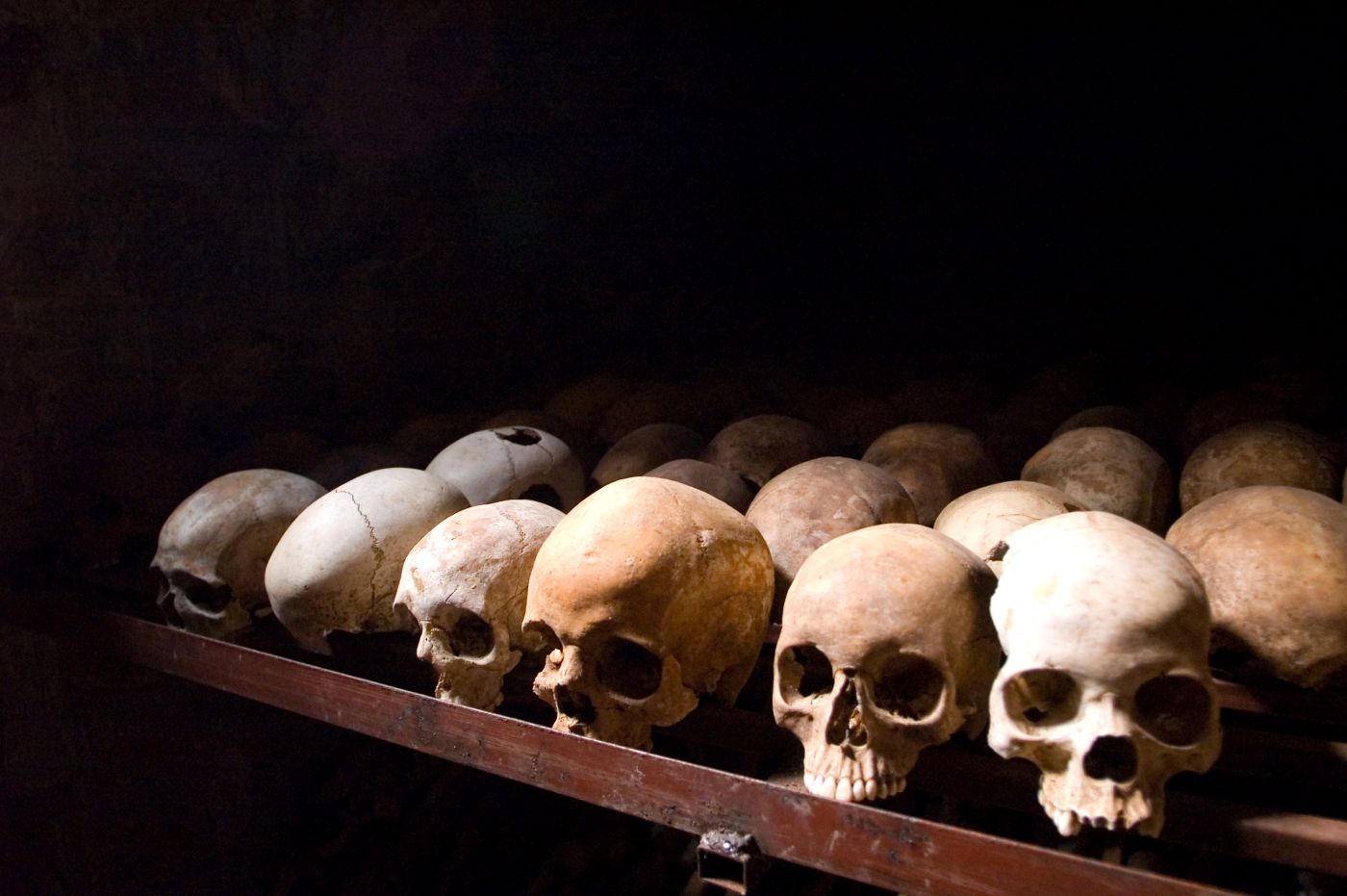 The Rwandan Genocide