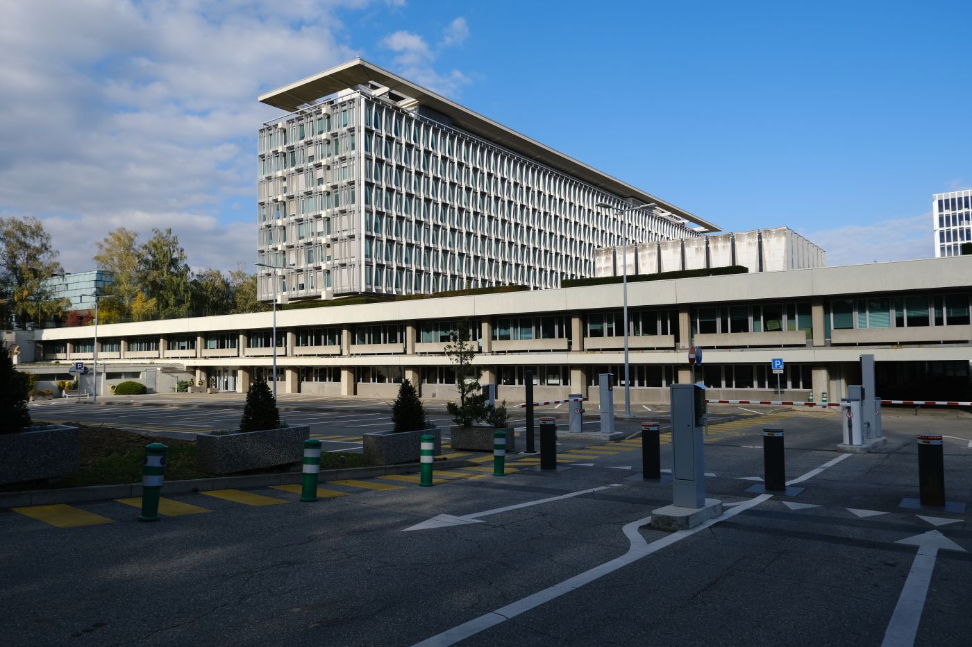 The World Health Organization