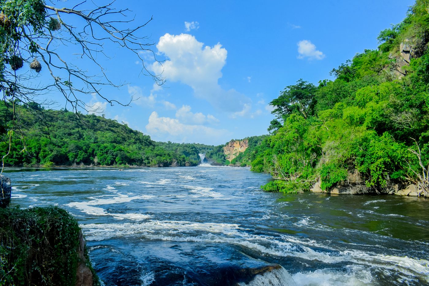 Top 10 Longest Rivers in the World
